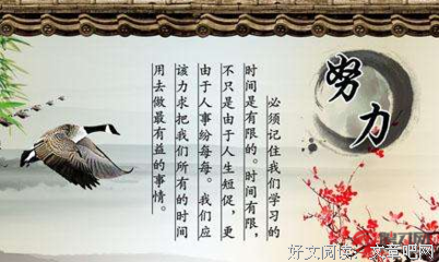 关于态度的优美句子