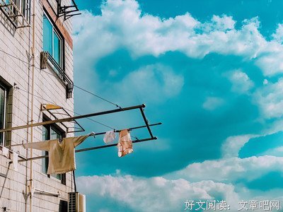 《新不了情》经典观后感1000字