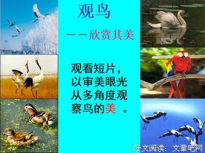 玲珑的优美句子
