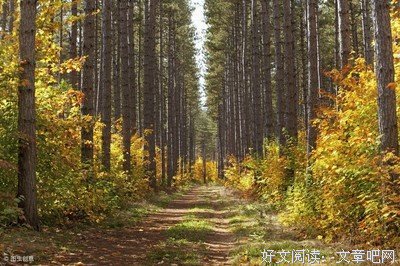 认十比事上来看不第子自道能悔名句欣赏