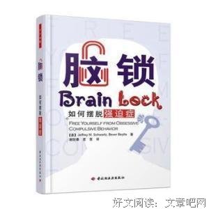 《脑锁》的读后感大全