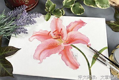 《香氣與空間》的读后感大全