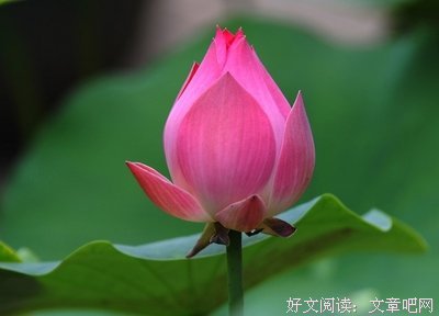 深入人心的语句摘抄_关于深入人心的语句