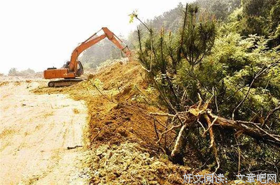 《爷爷再次被埋葬》的读后感大全