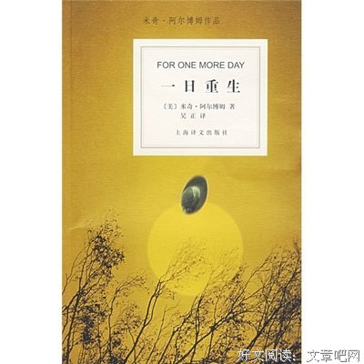 《完美大学必修课》的读后感大全