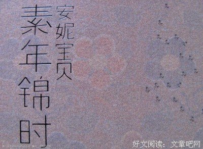 素年锦时读后感100字