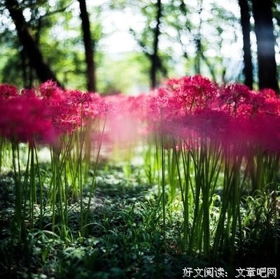 描写自私自利的语句摘抄