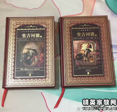 《唐吉诃德》经典读后感有感