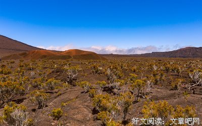 天堂与地狱的婚姻读后感摘抄