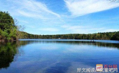 《刺青》读后感摘抄