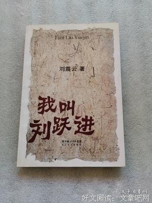 我叫刘跃进读后感摘抄