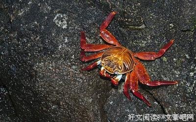 描写难以忘怀的语句摘抄