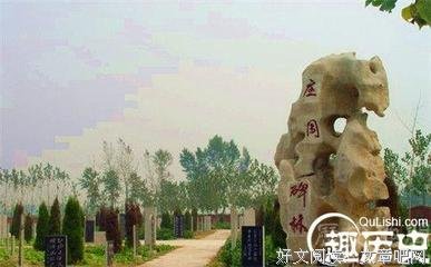 知北游读后感精选
