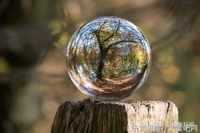 一年天下读后感锦集