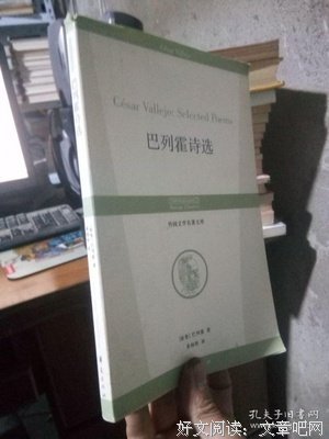 巴列霍诗选读后感100字