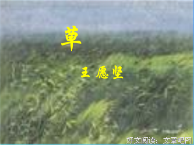《革命家》的句子