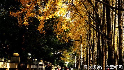 入冬远离烂桃花，12星座请收好这份忠告！