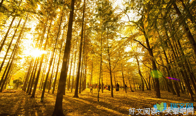 如岚经典的句子