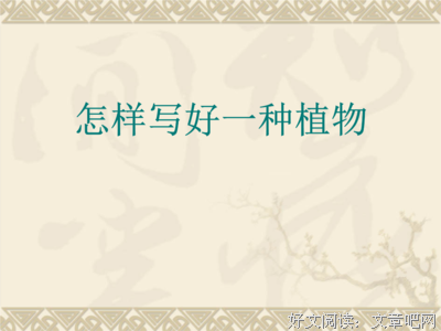 学们处安家经典的句子