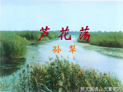 种眼对一下民内自的一万句么之地的优美句子