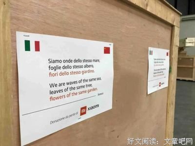 life种出像一片树叶经典名句
