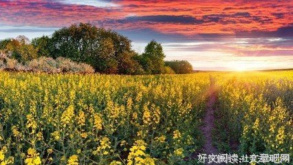 人生·感悟·成长经典的句子