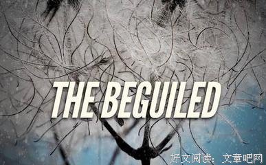 有关艾丽们个每·姜蒂森名言