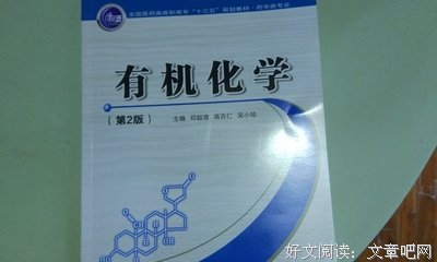 《意袁》经典的句子