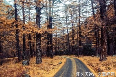 人厚道，天不欺！