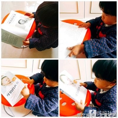 专注力的读后感大全