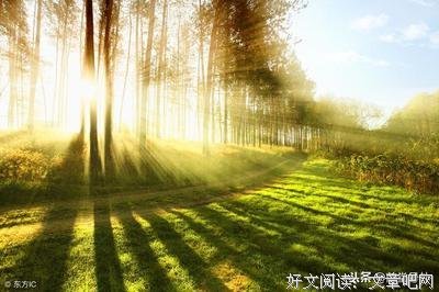 关于无足轻重名言名句