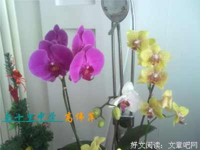 万水千山的名句_关于万水千山的名句
