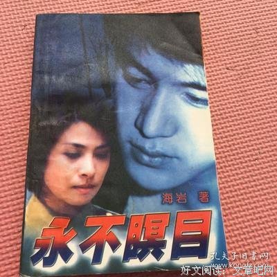 《永不瞑目》经典读后感有感