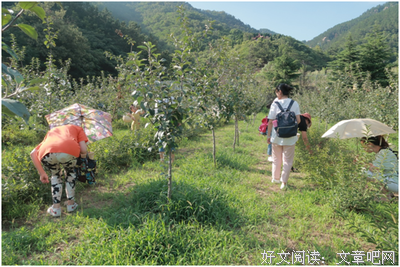小镇喧嚣经典读后感有感