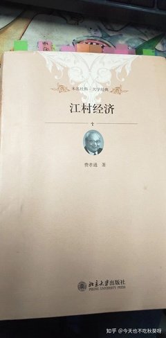 江村经济读后感100字
