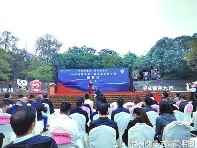 《成都方式》读后感100字