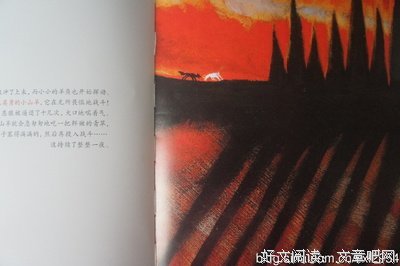 完美之物经典读后感有感