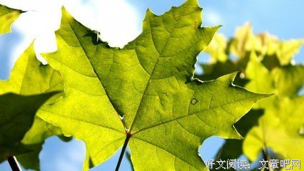 关于深不可测的唯美语录