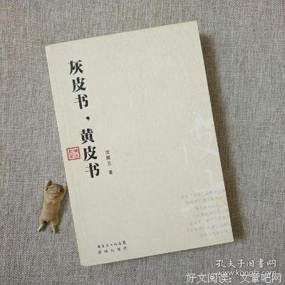《灰皮书，黄皮书》读后感1000字