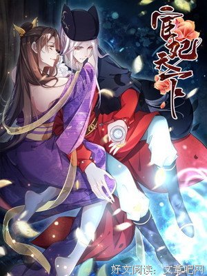 宦妃天下句子