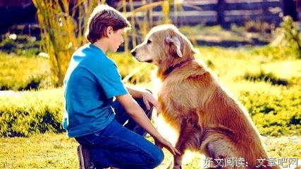 《看狗在说话》好看吗？经典影评锦集