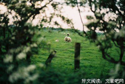 关于错过的出成是最美的句子