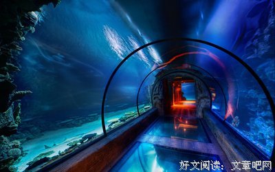 《无声的舞者》经典影评有感