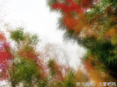 朦胧诗