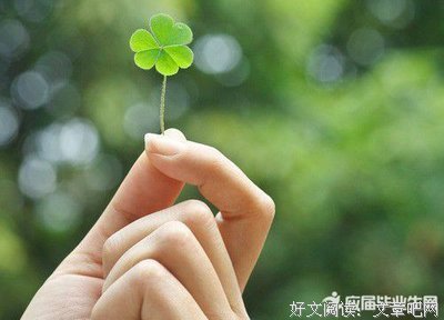 关于落骨梅风的优美句子