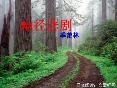 关于暗香浮动的优美句子