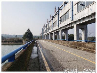 《泰戈之如》的句子