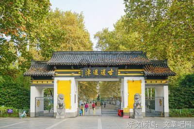 《逍遥津》读后感精选