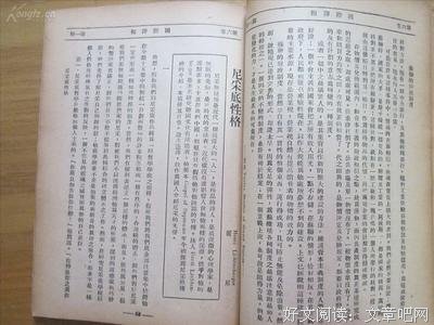 《瓦格纳·尼采·希特勒》读后感1000字