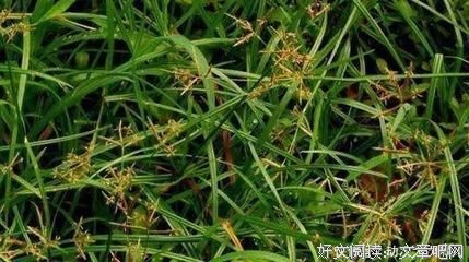 当现在遇到未来 Vol.1经典读后感有感